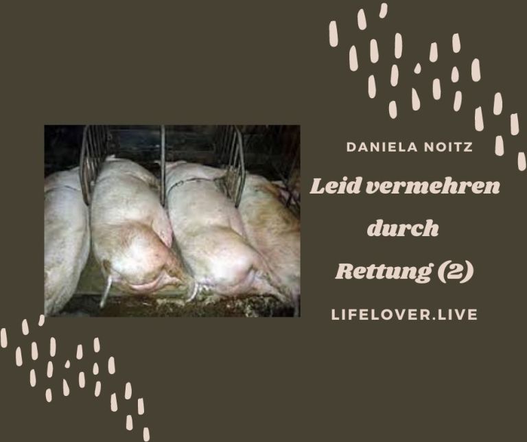 Novels4u.com – Literatur & Geschichten