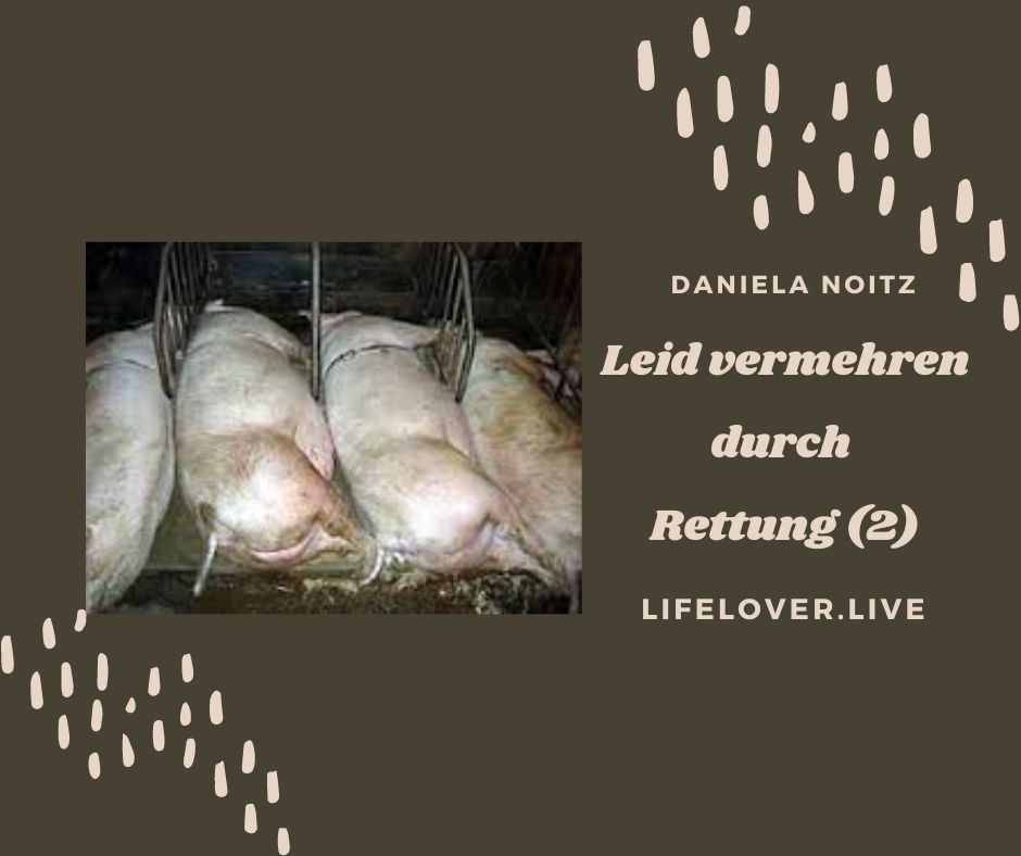Novels4u.com – Literatur & Geschichten