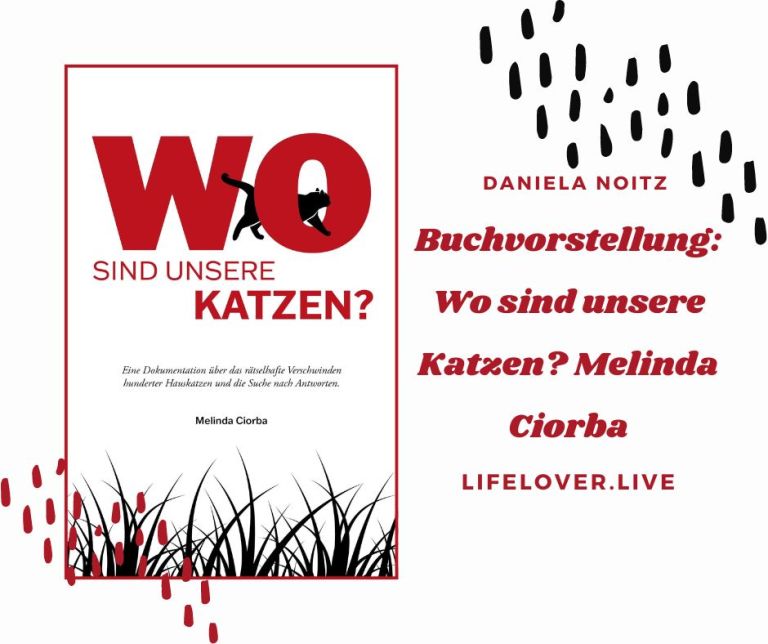 Buchvorstellung: "Wo sind unsere Katzen?" von Melinda Ciorba – Alle Geschichten