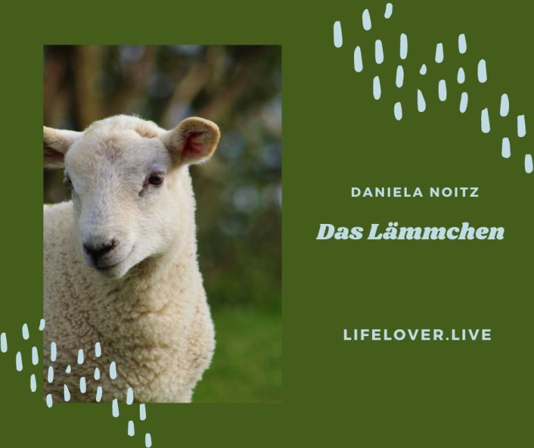 Das Lämmchen – Alle Geschichten