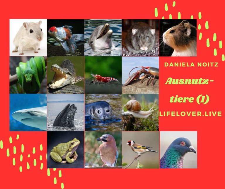 Ausnutztiere (1) – Aktivismus