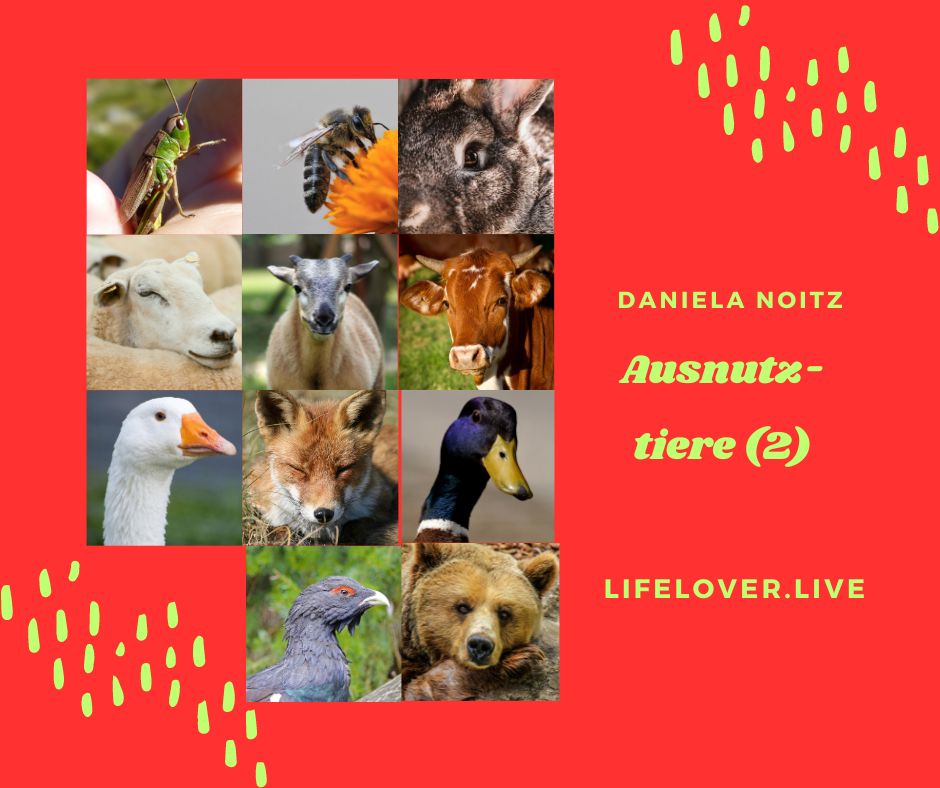 Ausnutztiere (2) – Aktivismus