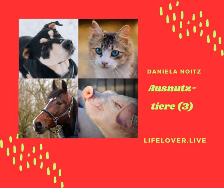 Ausnutztiere (3) – Aktivismus