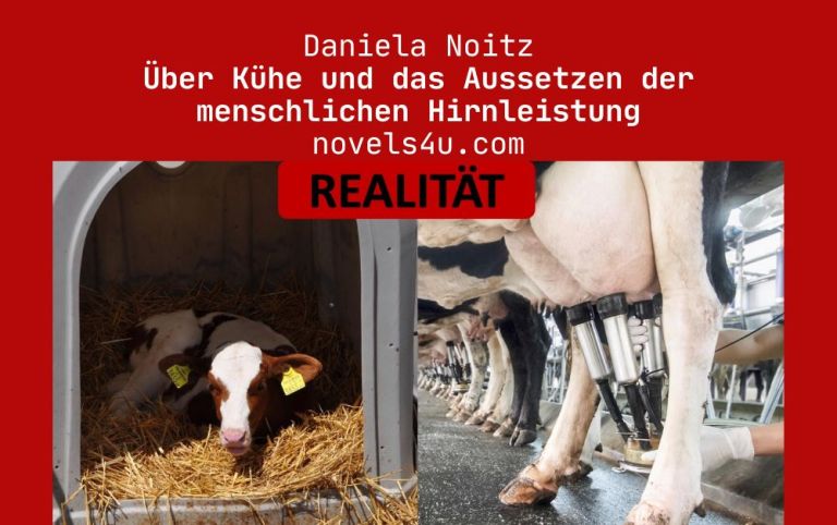 Über Kühe und das Aussetzen der menschlichen Hirnleistung – Aktivismus