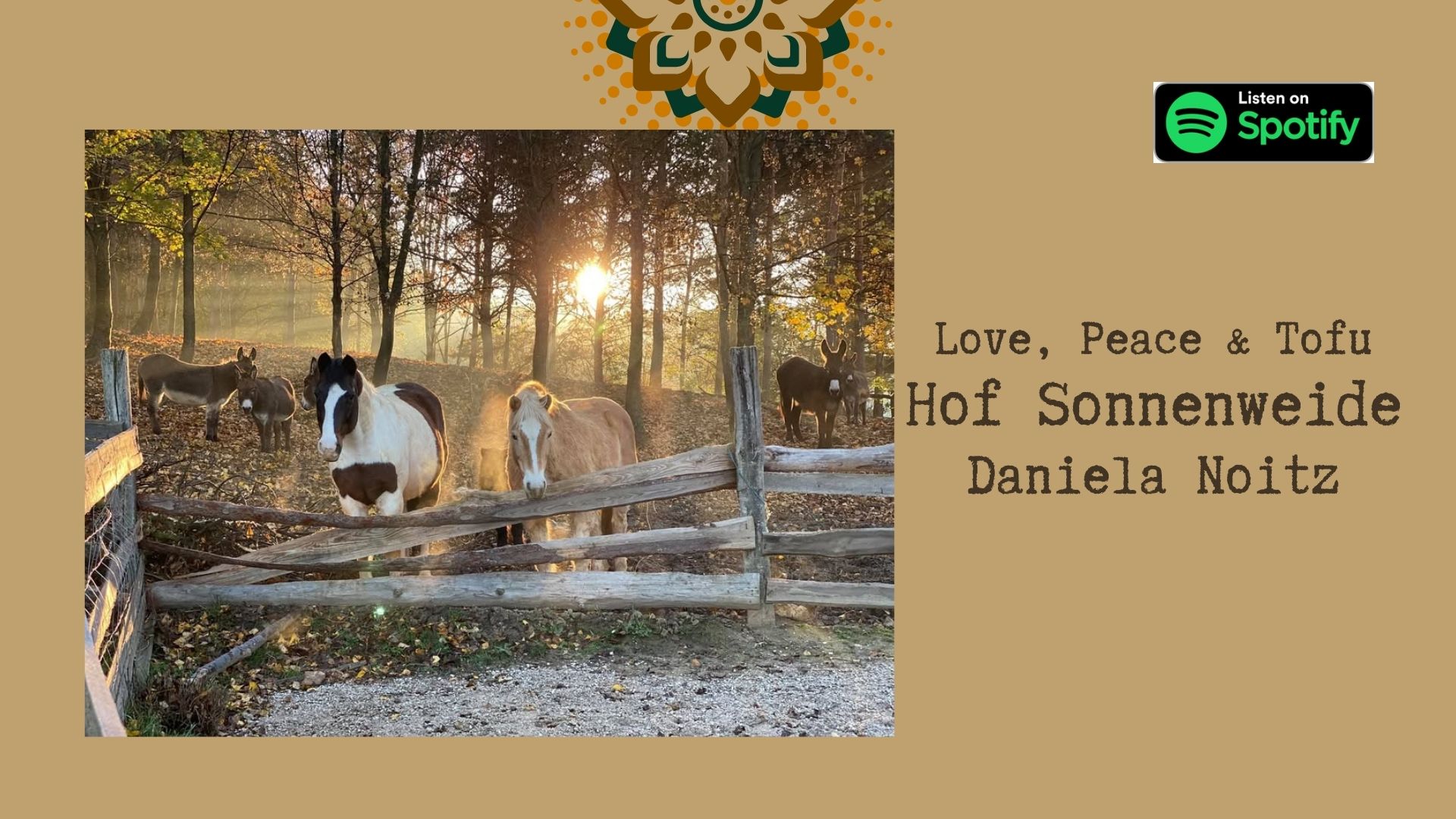 Hof Sonnenweide – Alle Geschichten