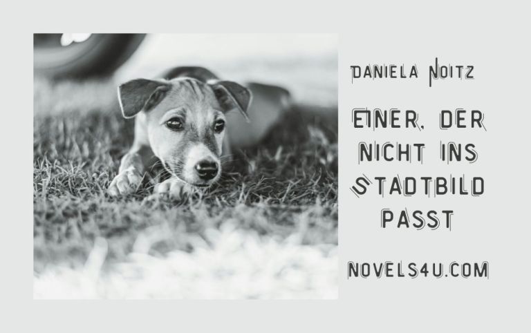 Einer, der nicht ins Stadtbild passt