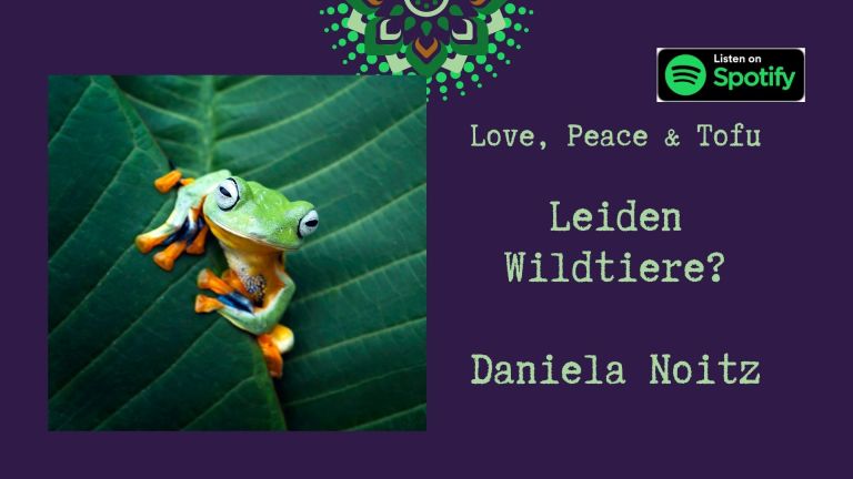Love Peace Tofu | Daniela Noitz Bücher und Lesungen