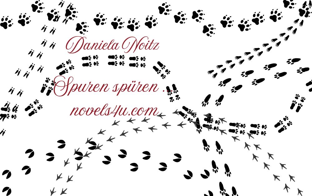 Bild: Spuren - Daniela Noitz