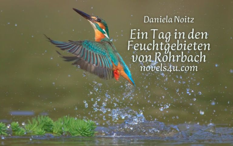 Foto: Feuchtgebiete - vegane österreichische Autorin aus Österreich