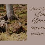 Eine Baerenbegegnung | Daniela Noitz Bücher und Lesungen