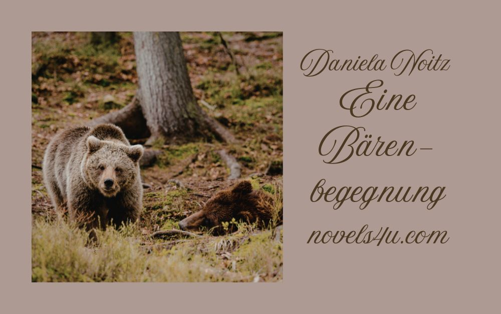 Eine Baerenbegegnung | Daniela Noitz Bücher und Lesungen