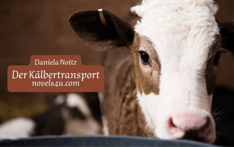 Bild von NOVELS4U | Daniela Noitz | vegan | Offizielle Webseite | novels4u.com - Daniela Noitz Kaelbertransport