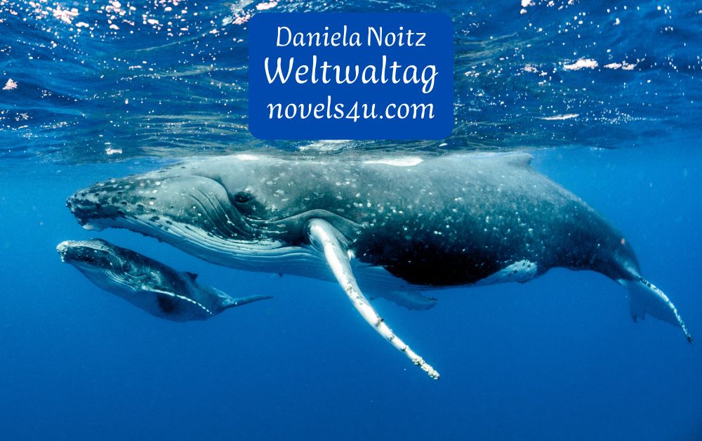 Weltwaltag - Daniela Noitz | vegane österreichische Autorin