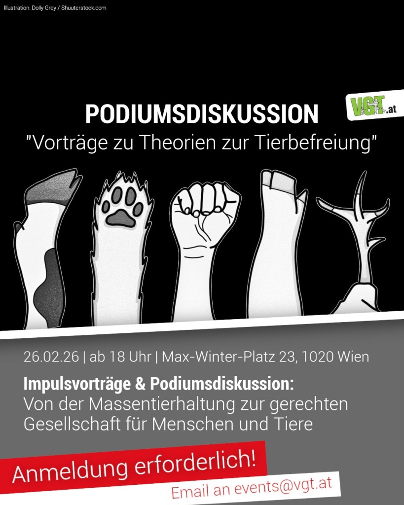 signal | Daniela Noitz Bücher und Lesungen