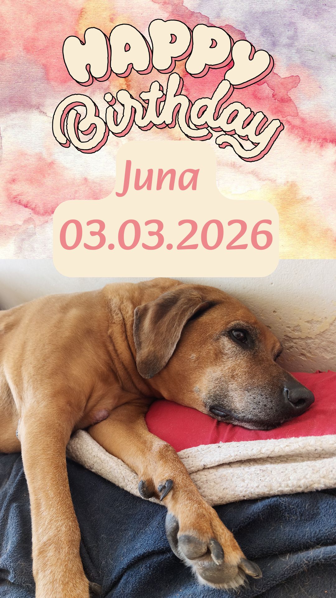 Bild von NOVELS4U | Daniela Noitz | vegan | Offizielle Webseite | novels4u.com - Daniela Noitz Literatur