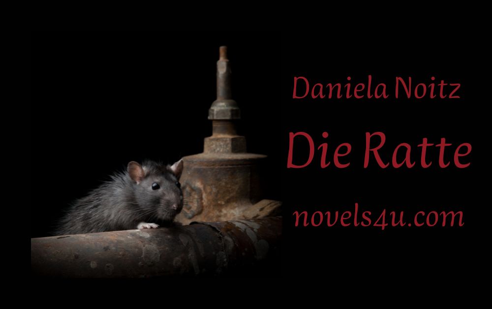 Ratte Bild | NOVELS4U | Daniela Noitz | vegan | Offizielle Webseite | novels4u.com - Daniela Noitz