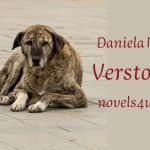 Foto: Streuner - vegane österreichische Autorin aus Österreich