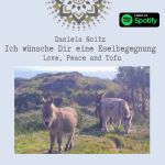 Esel | Daniela Noitz Bücher und Lesungen