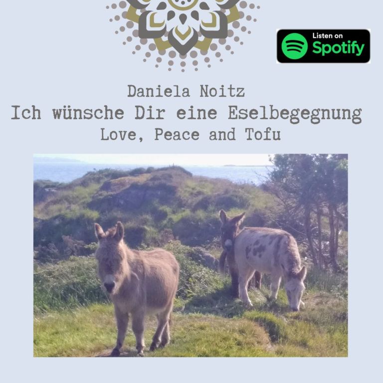 Esel | Daniela Noitz Bücher und Lesungen